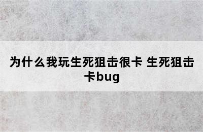 为什么我玩生死狙击很卡 生死狙击卡bug